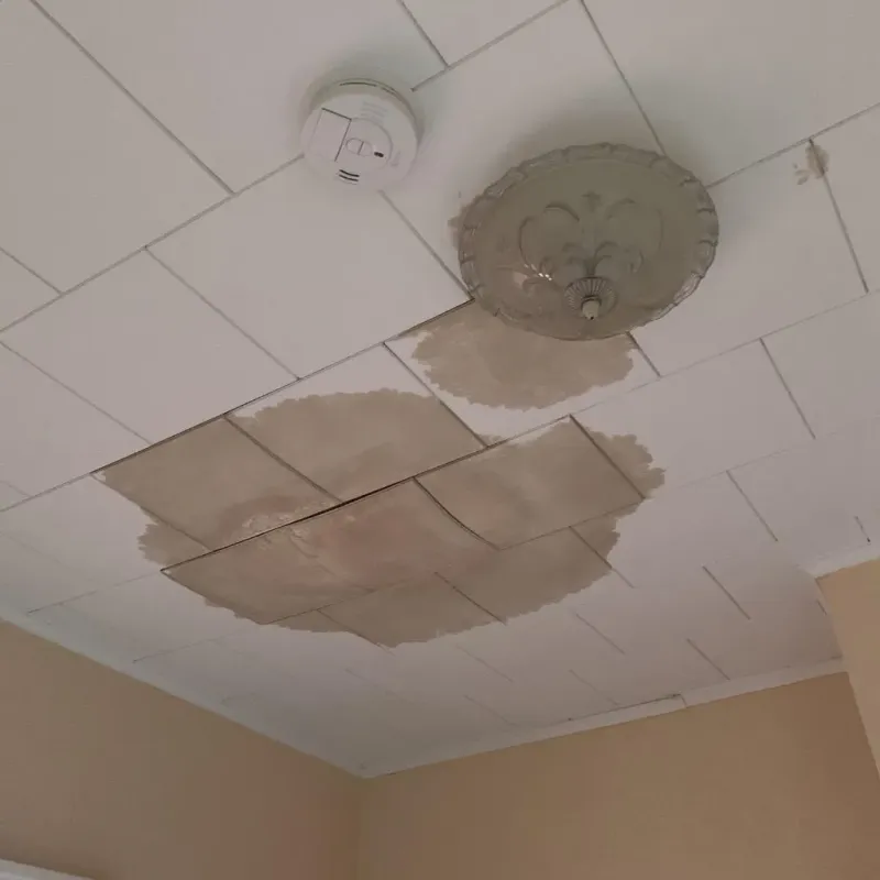 Ceiling Water Damage Repair in Tiffin, IA