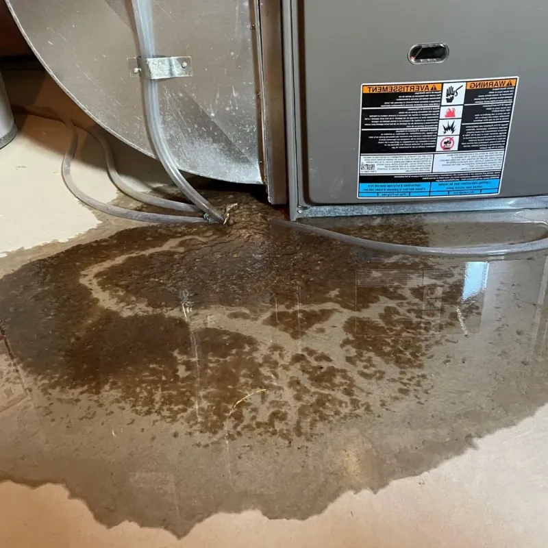 Pipe Burst and Leak Restoration in Tiffin, IA