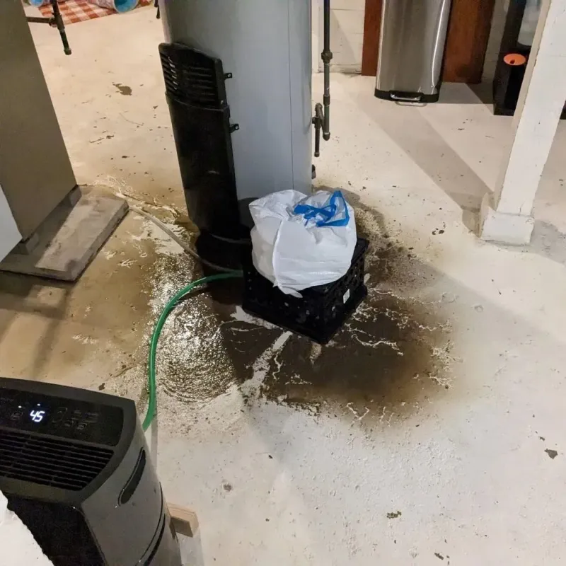 Sewage Backup Cleanup Service in Tiffin, IA